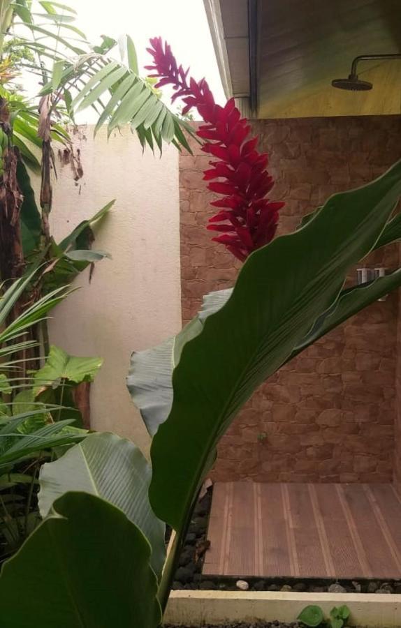 Tropical Suites & Villas La Fortuna Kültér fotó